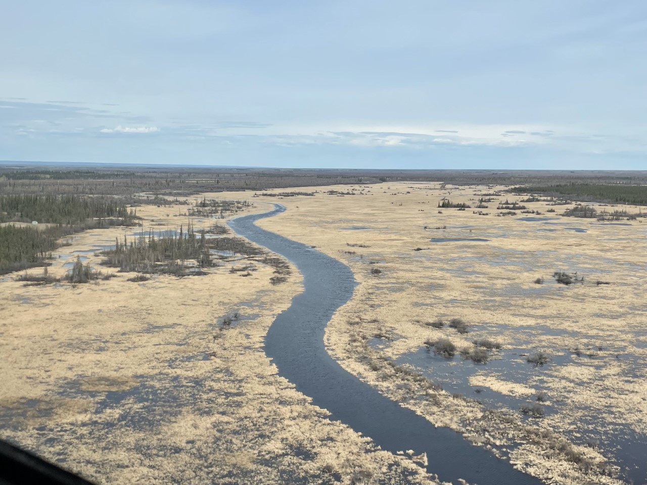 Aerial view of wetlands and river in Alberta FWS.gov
